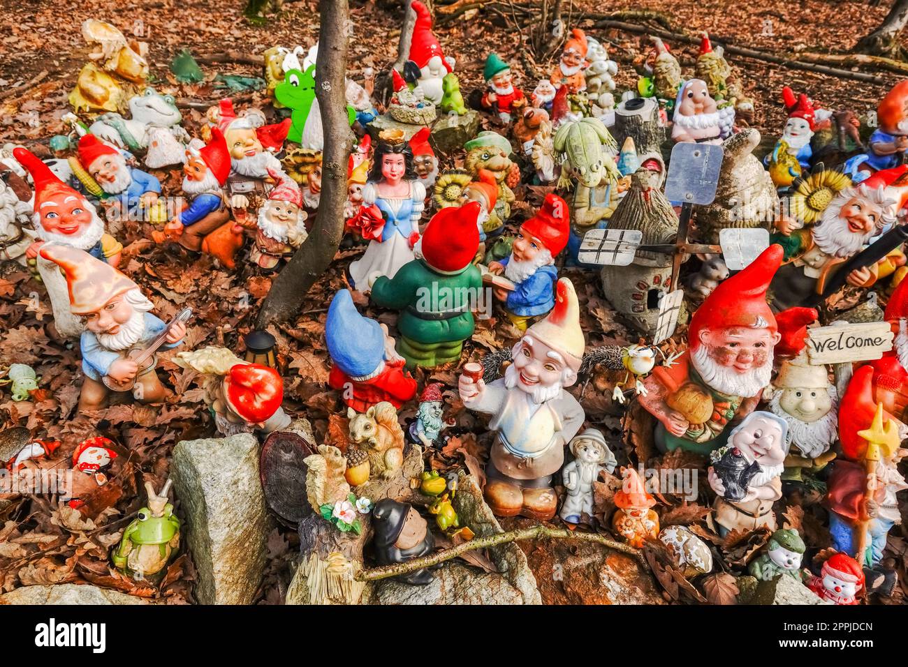 portrait view to lot of colorful garden gnomes at a place in the forest Stock Photo