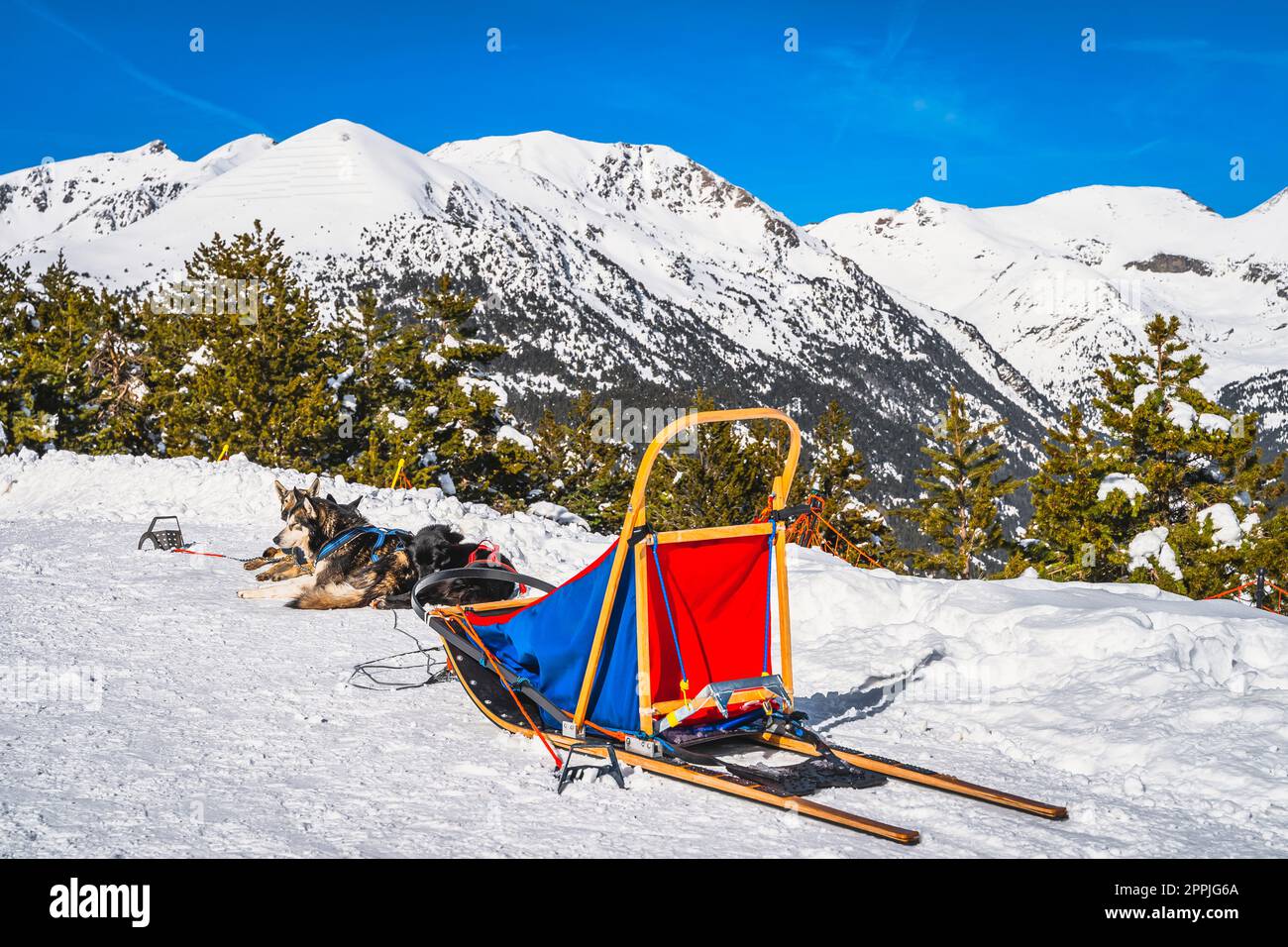 Group of Huskey in dog sledding, waiting for a ride, Andorra, Pyrenees Stock Photo
