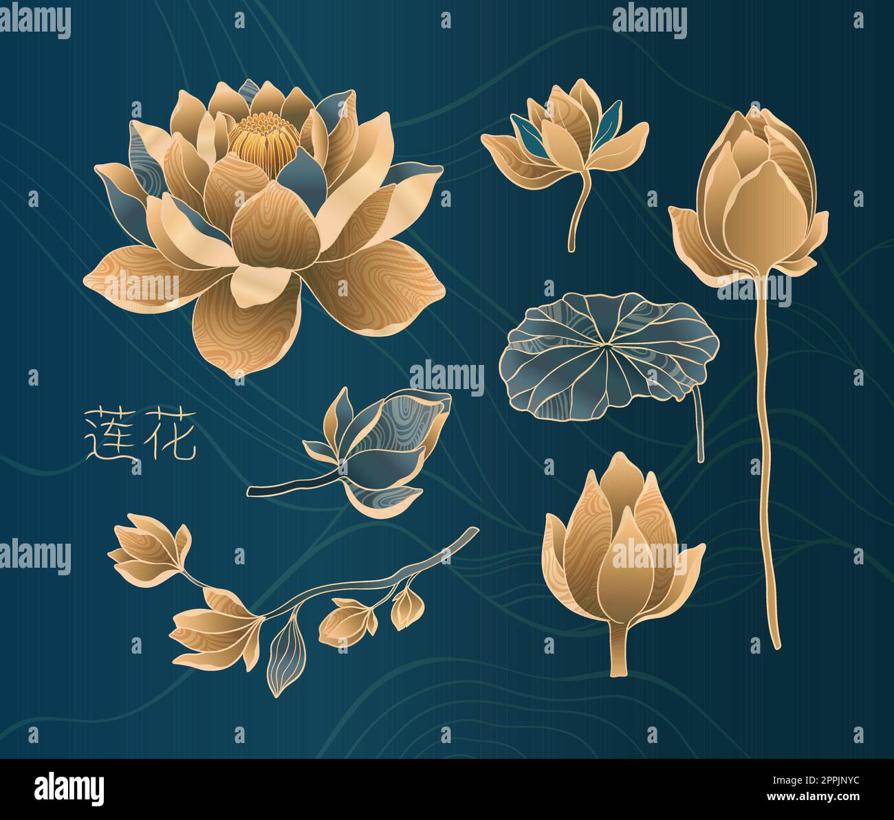 Lotus flowers set for luxury and exclusive use in design. Water lilies in gold and blue colors, isolated elements. The inscription in Chinese Stock Vector