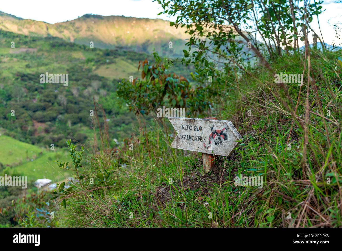nature in the mountain landscape of Colombia Stock Photo - Alamy