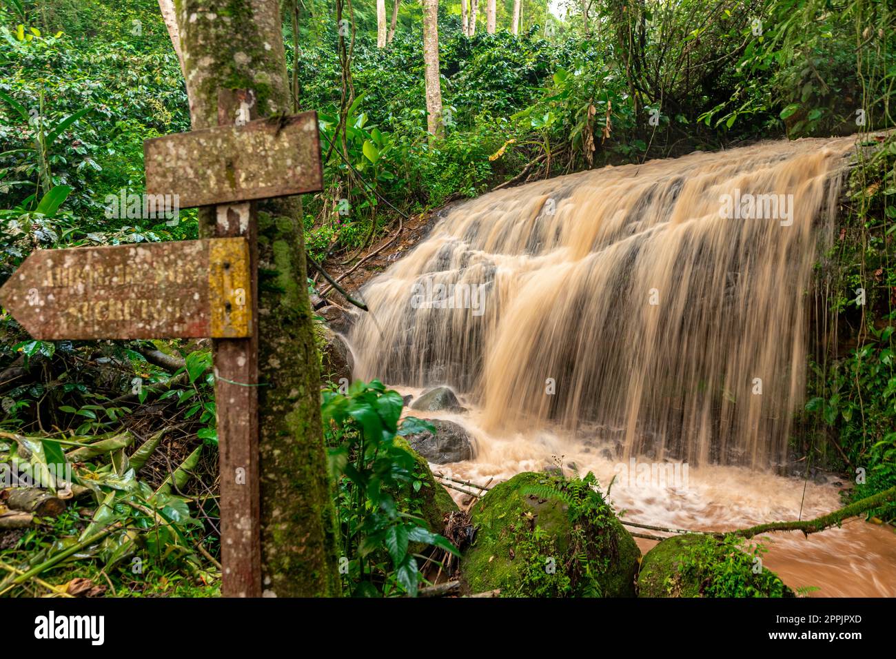 waterfall with rain water in the rain forest Stock Photo