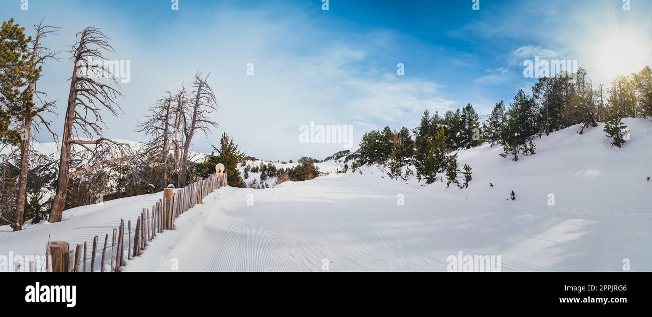 Snow covering ski piste with a view on snowy mountains and green pine forest in Andorra Stock Photo
