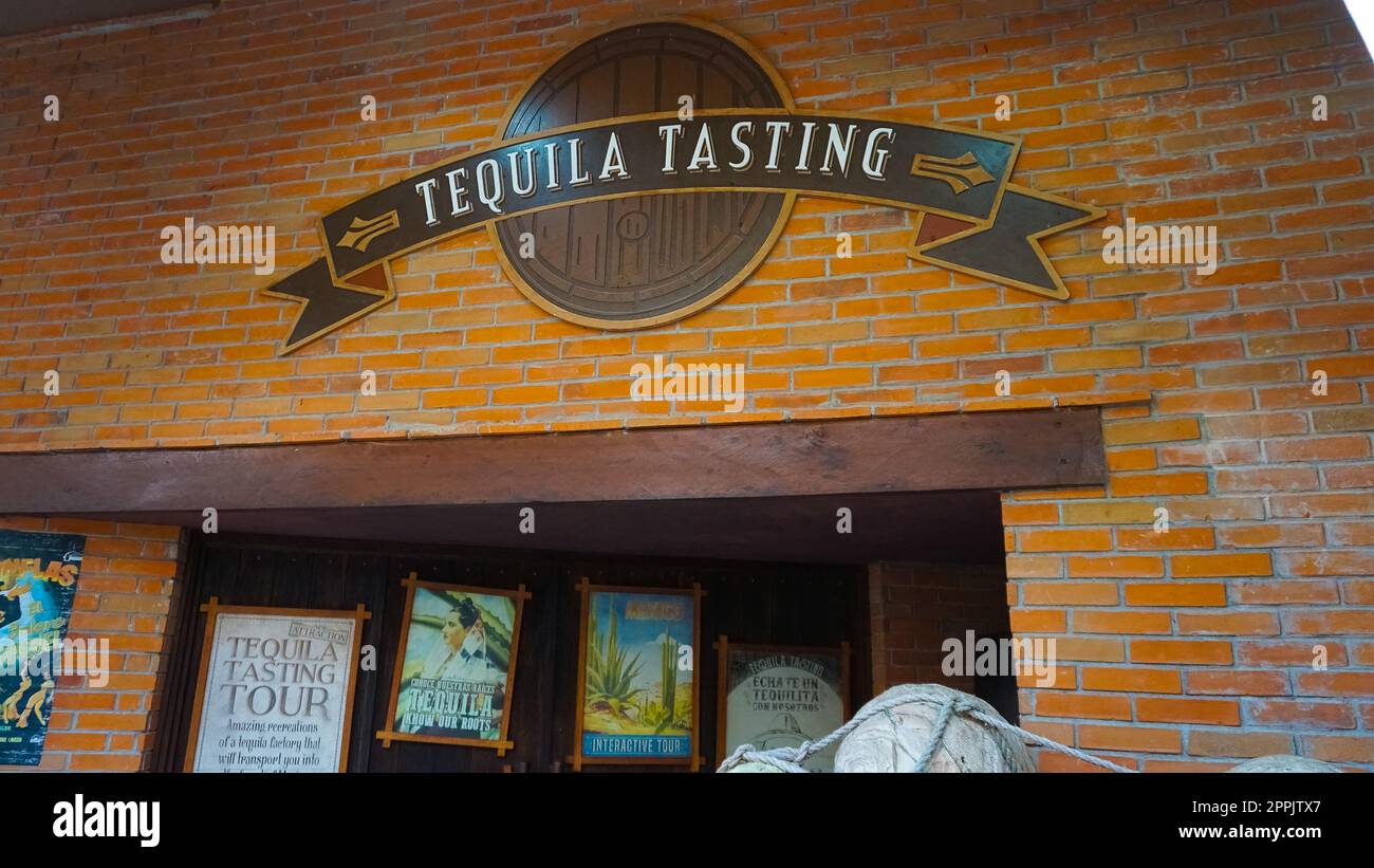 Sunny morning in Tequila bar in Mexico Stock Photo Alamy