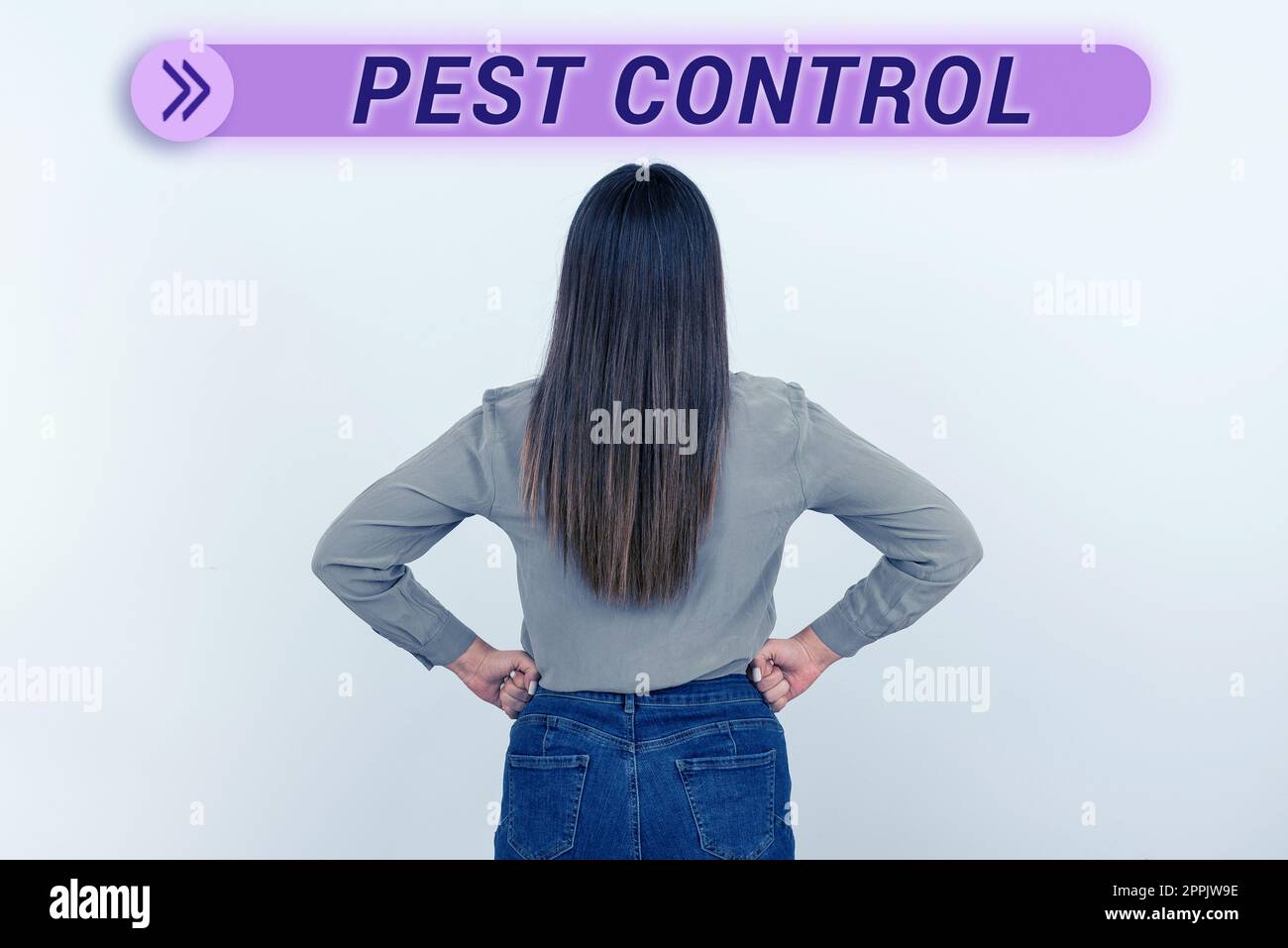 Conceptual caption Pest Control. Internet Concept Killing destructive insects that attacks crops and livestock Stock Photo