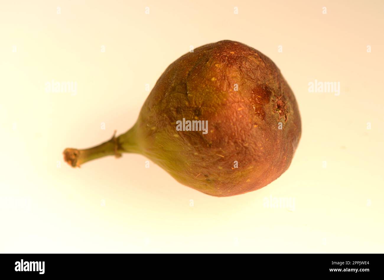 Food is any substance consumed by an organism for nutritional support