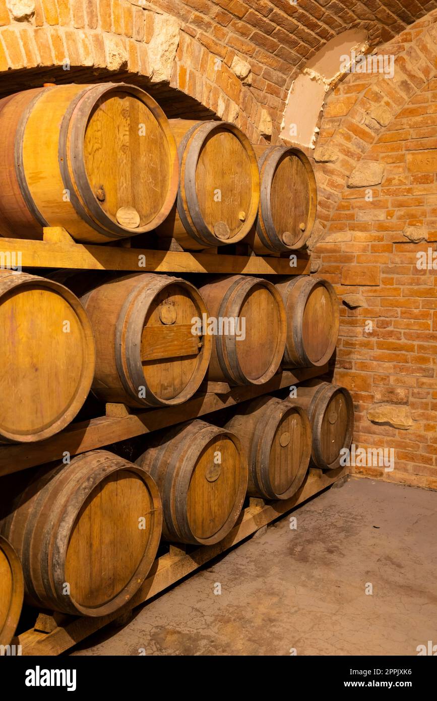 Wine cellars with barrels in Rakvice, Southern Moravia, Czech Republic Stock Photo