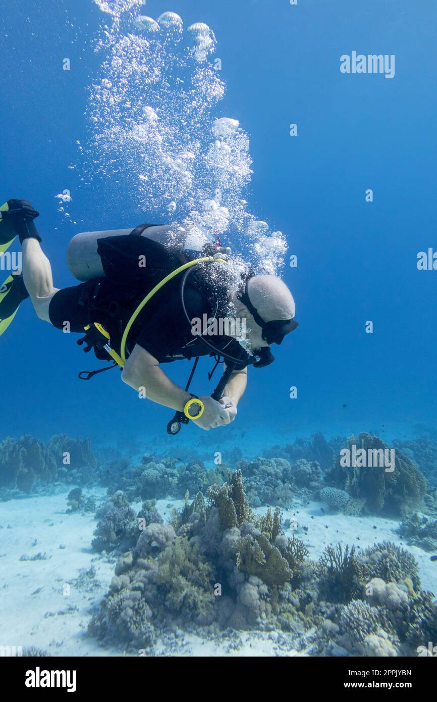 Single scuba diver with the equipment over colorful coral reef on the bottom of tropical sea, underwater landcape Stock Photo