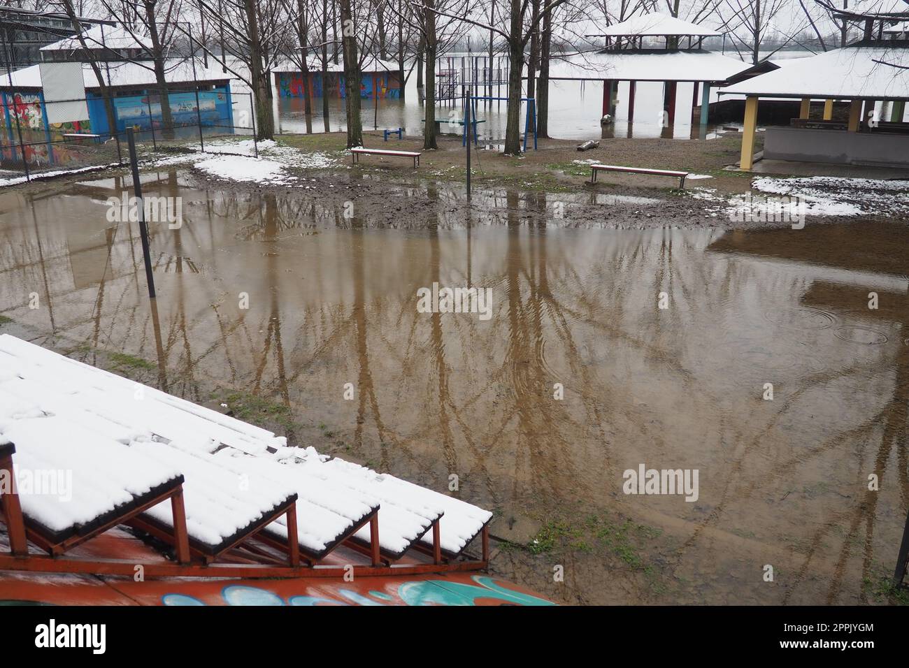 Sremska Mitrovica, Serbia 01.27.2023 Flooding on the Sava river. Deluge after rains and melting snow. Still muddy water on the beach. Reflection of tree trunks and branches in the water. Hydrology. Stock Photo