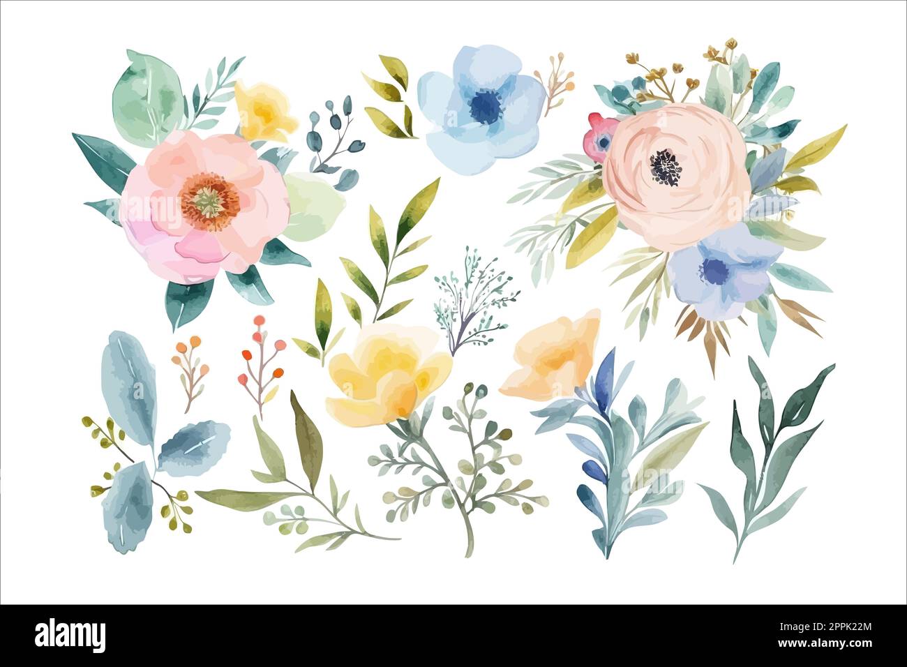 Watercolor floral bouquet illustration set - blush pink blue yellow