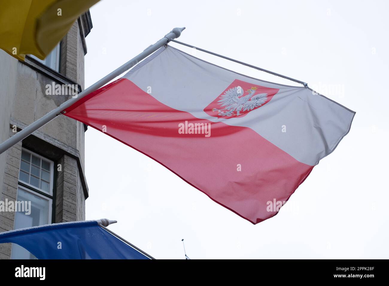 Polish flag waving in wind Stock Photo Alamy