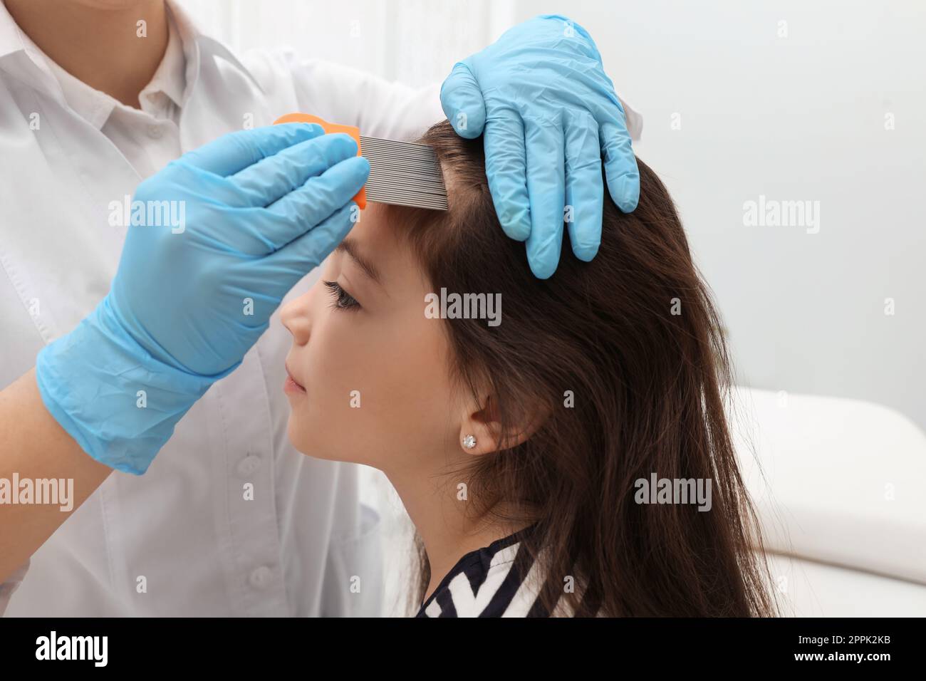 Doctor using nit comb on little girl's hair indoors. Anti lice