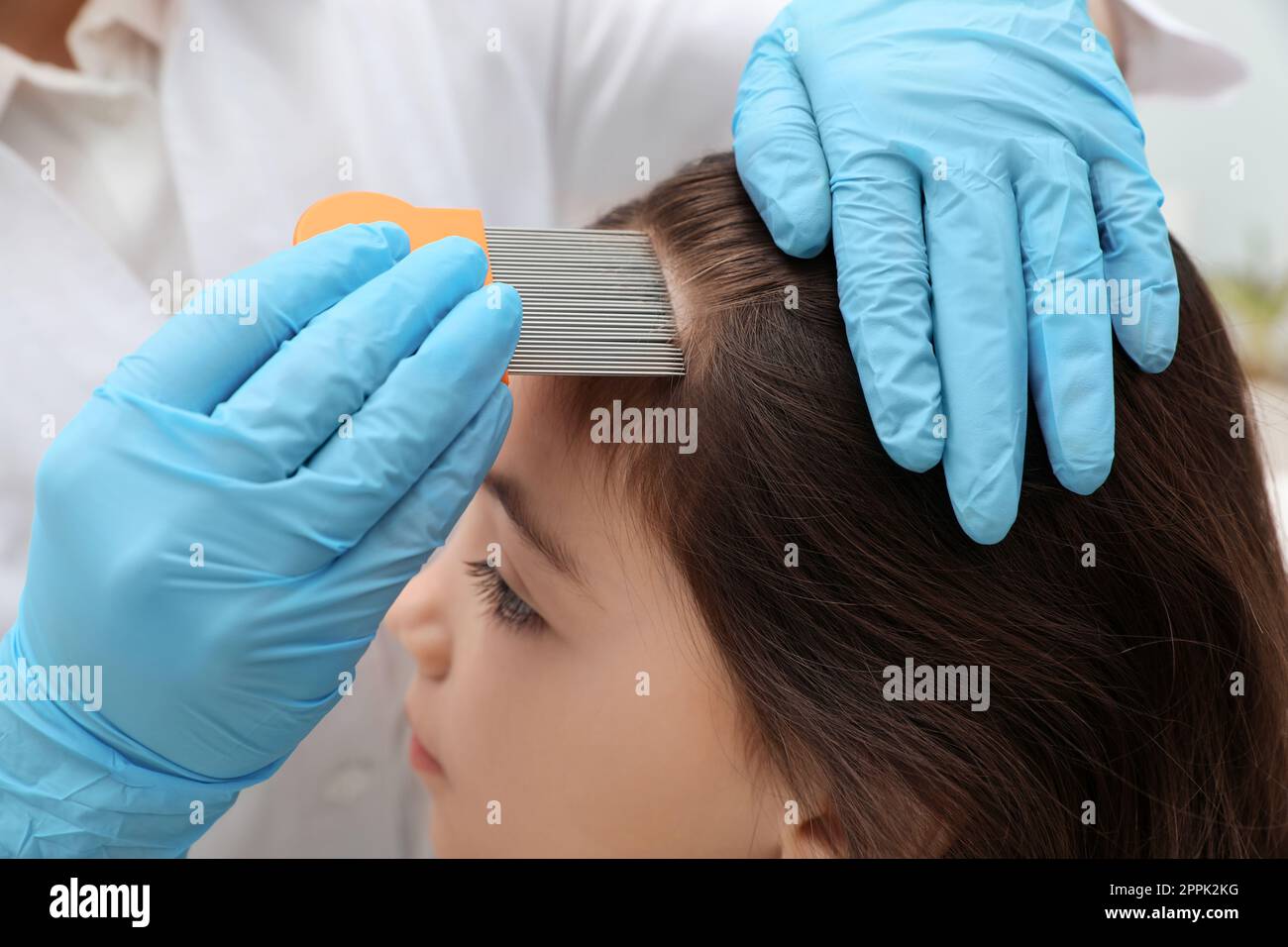 Doctor using nit comb on little girl's hair indoors. Anti lice
