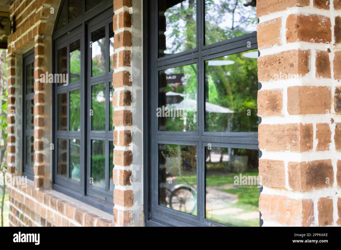 Air purifying plants for home Stock Photo - Alamy