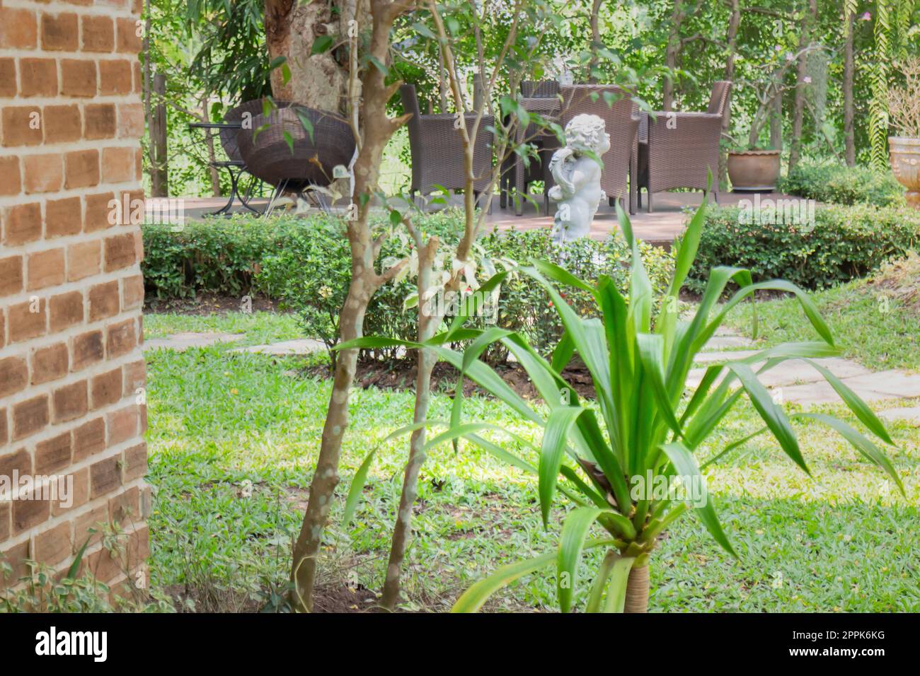 Air purifying plants for home Stock Photo Alamy