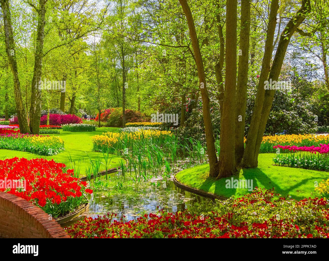 Colorful tulips in the Keukenhof park, Holland Stock Photo - Alamy