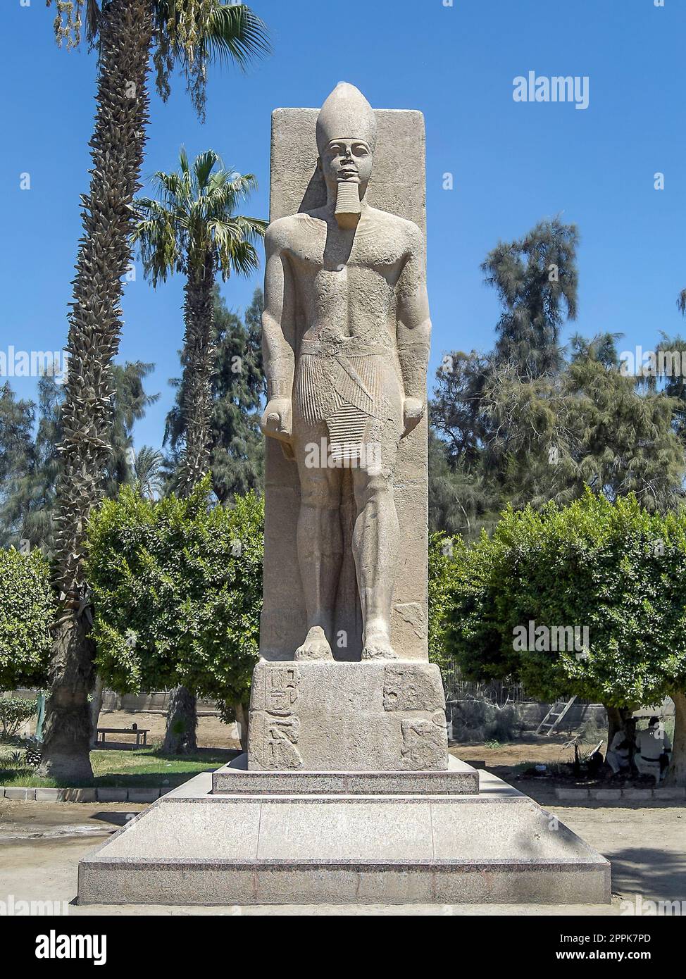 Standing statue of Ramses II on the background of green palm trees in open air museum of Memphis, Egypt Stock Photo
