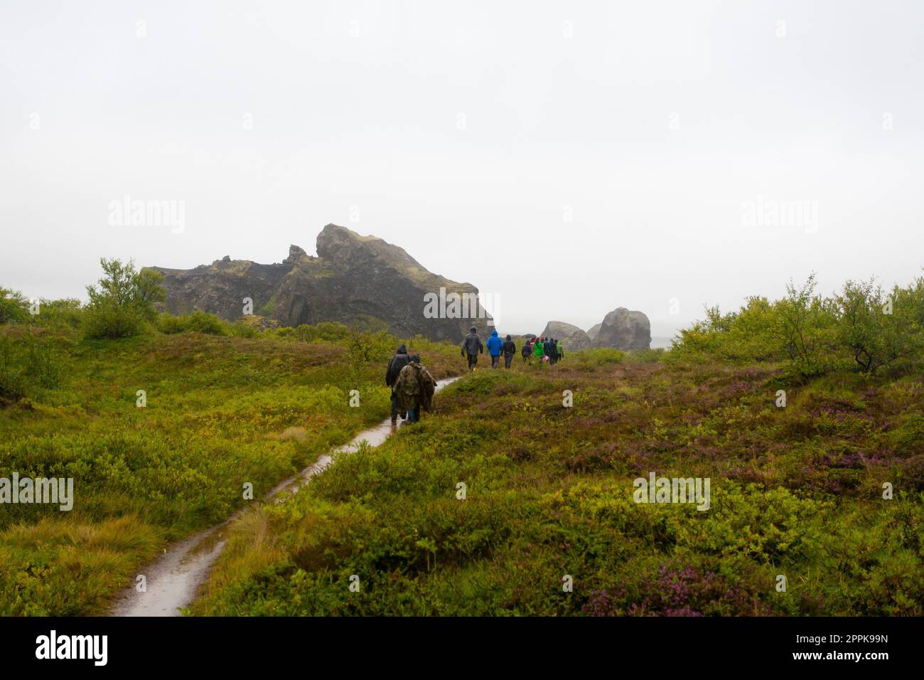 Jokulsargljufur National Park on a raining day, Iceland Stock Photo
