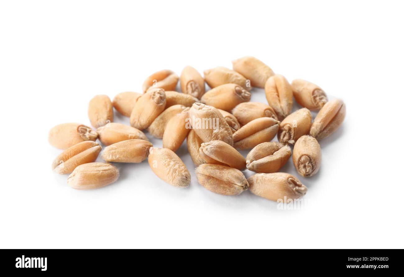 Pile of wheat grains on white background Stock Photo - Alamy