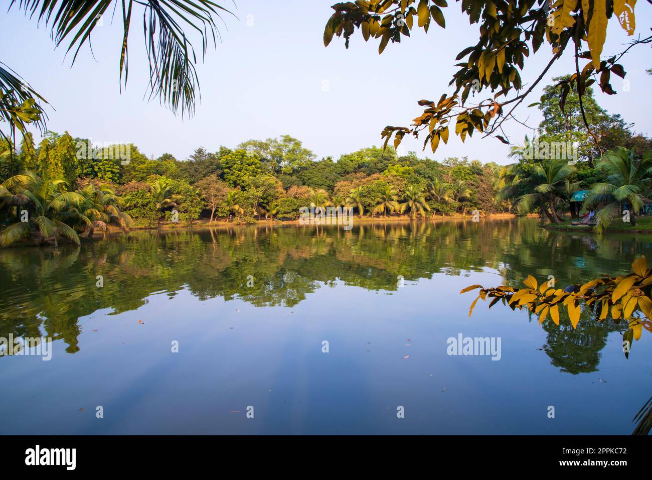 Natural landscape view Reflection of trees in the lake water against blue sky Stock Photo