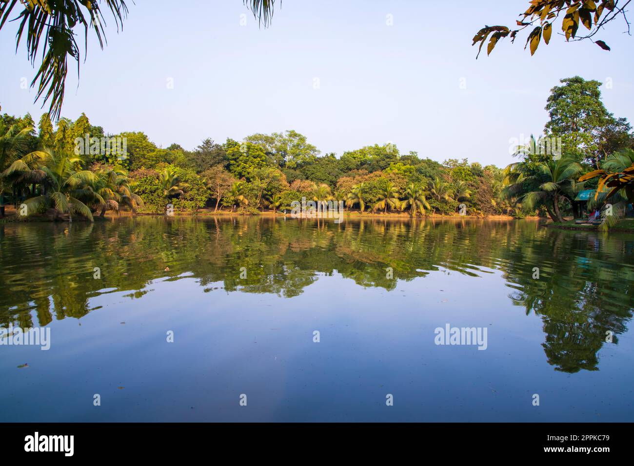 Natural landscape view Reflection of trees in the lake water against blue sky Stock Photo