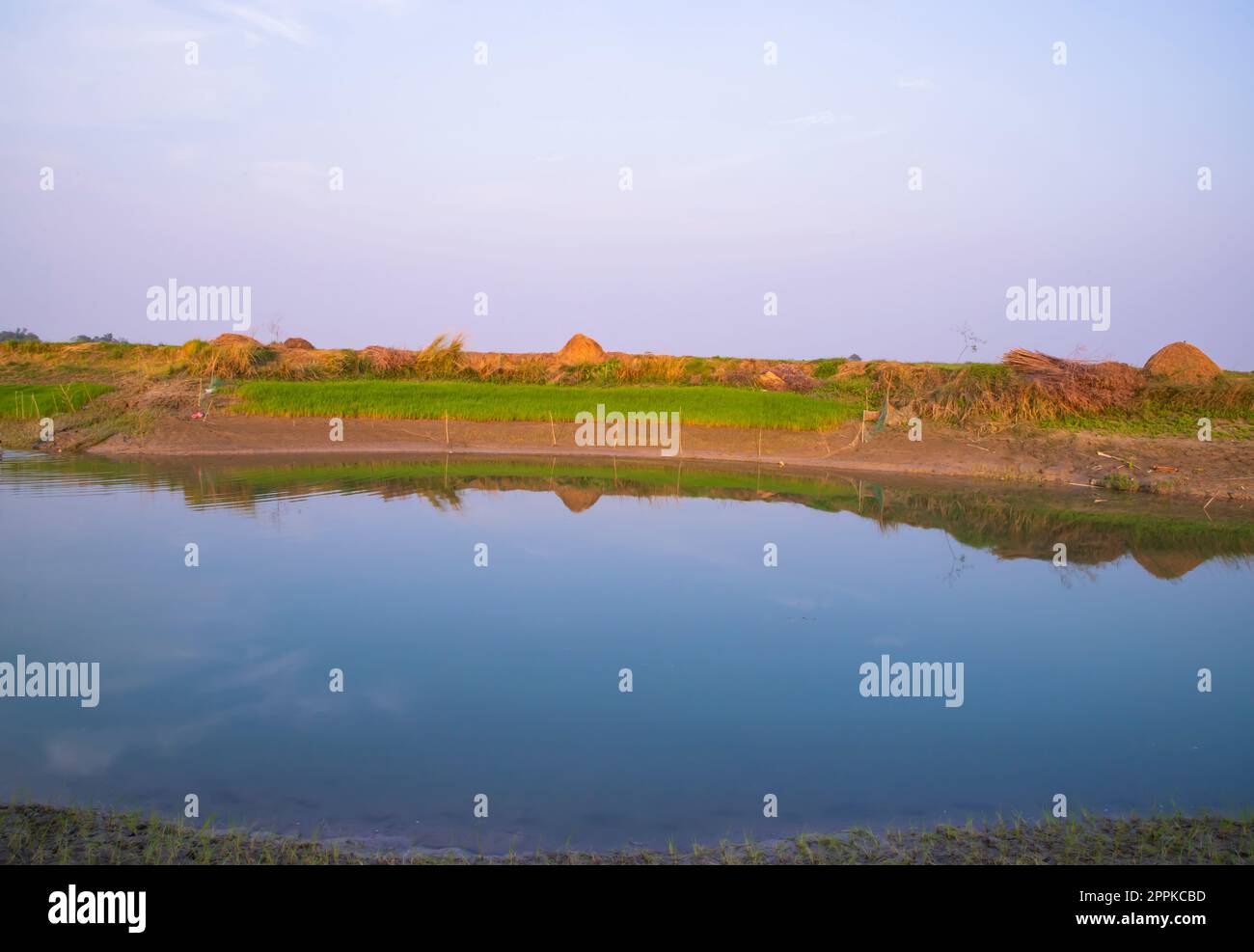 Canal with green grass and vegetation reflected in the water nearby Padma river in Bangladesh Stock Photo