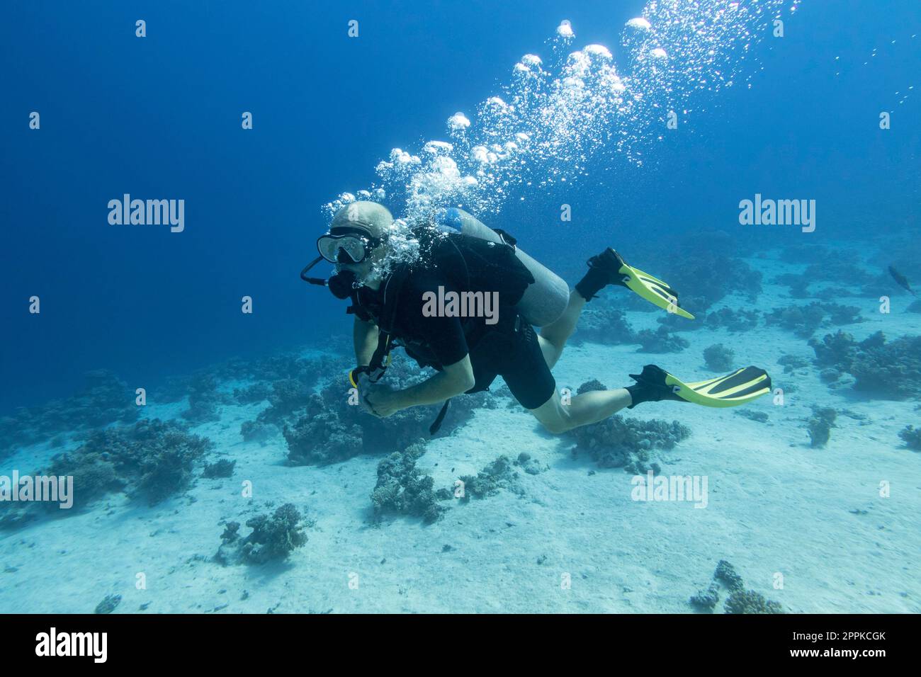 Single scuba diver with the equipment over colorful coral reef on the sandy bottom of tropical sea, underwater landcape Stock Photo