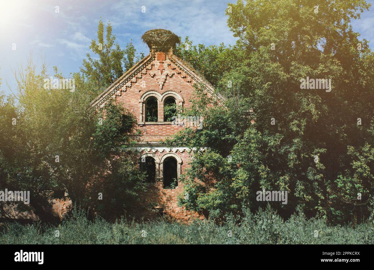 abandoned and ruined Old brick mansion house in the forest Stock Photo