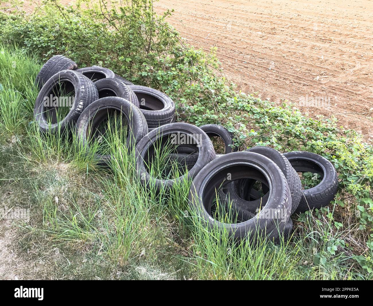 A pile of old car tires abandoned on the grass near a field. A dump of ...