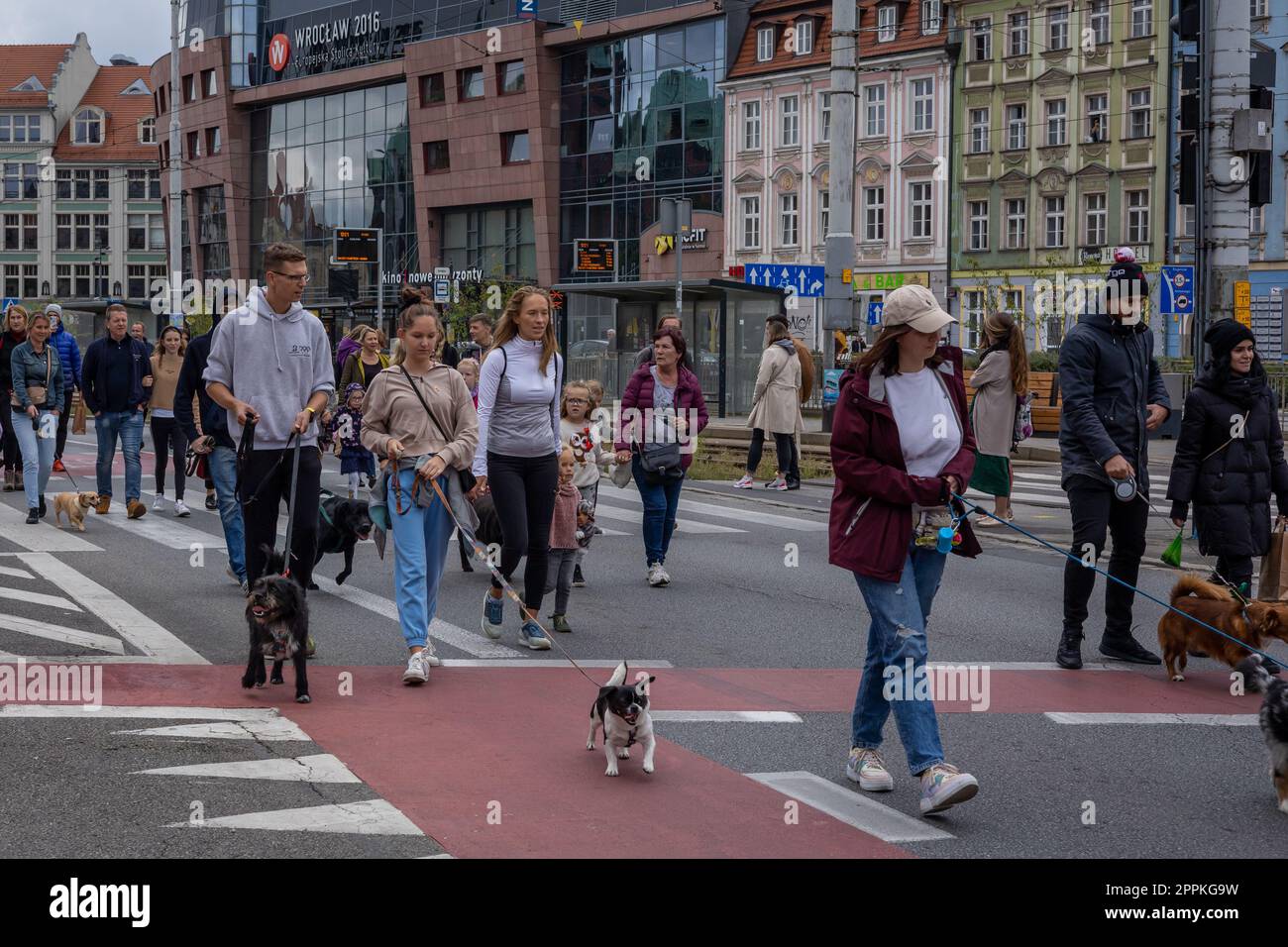 Wroclaw, Poland - September 19, 2021: Dogs on the leash and their owners walking at a dog parade in Wroclaw downtown. Stock Photo