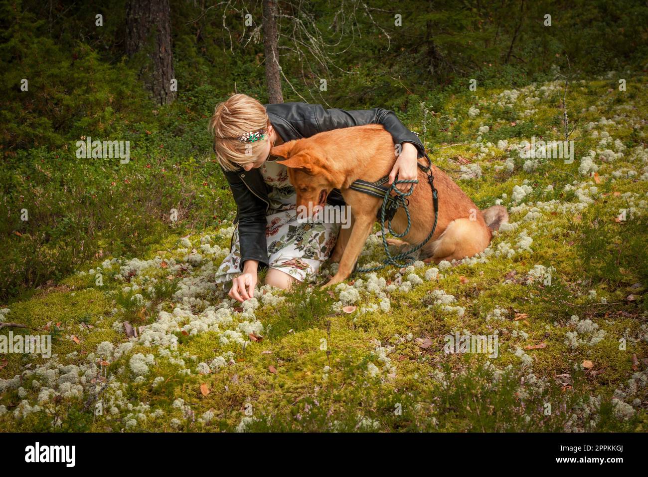 Owner with brown dog in spring wood scenic photography Stock Photo