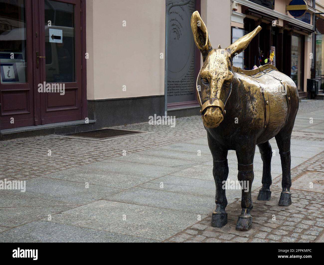 Sculpture Golden Donkey on the streets of Torun Stock Photo Alamy