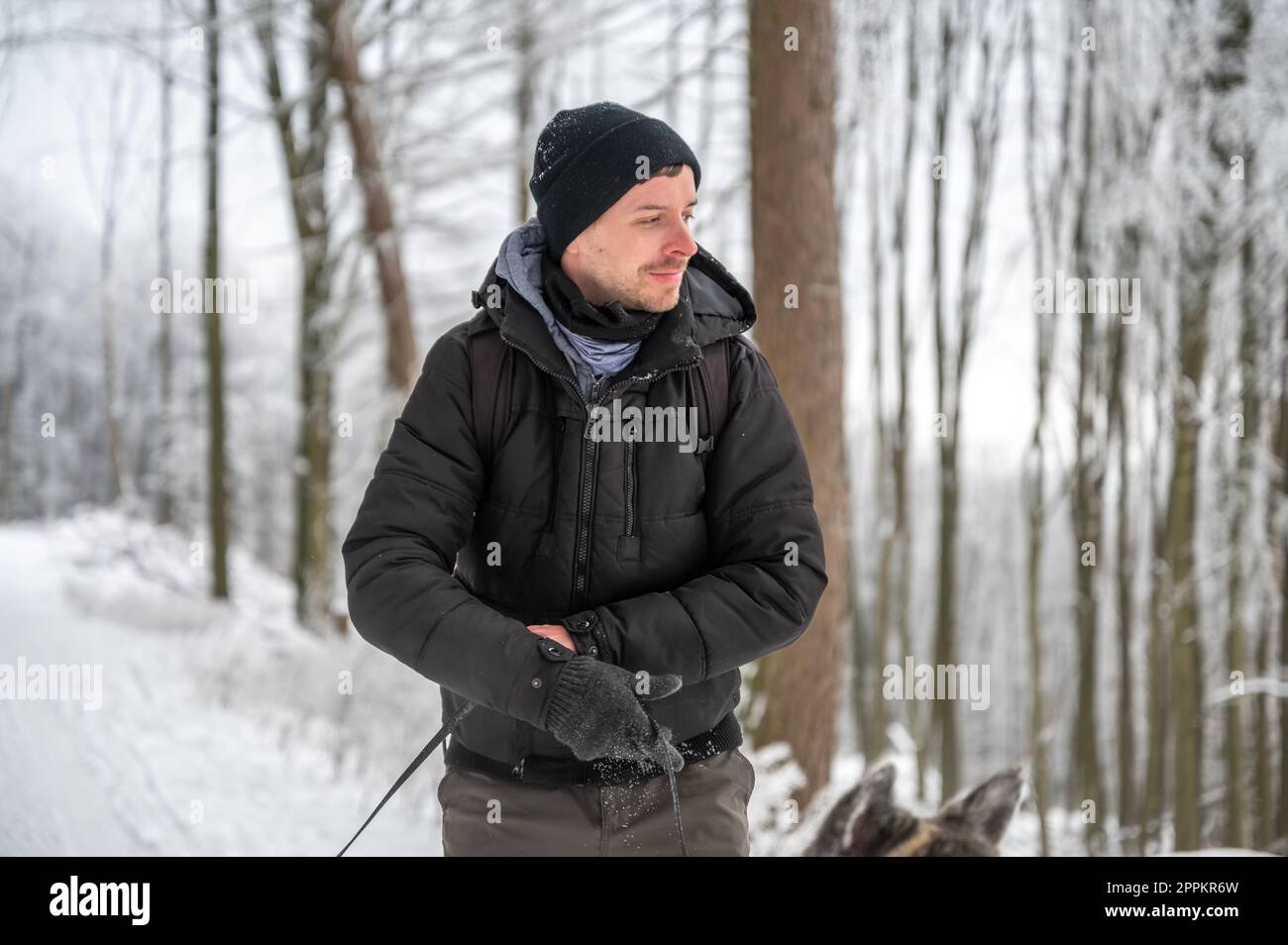 Young man with beard and hat, wearing warm clothes, is smiling, walks his akita inu dog with gray fur in the forest during winter with snow Stock Photo