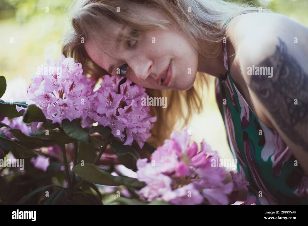 Close up woman bending head over pink flowering shrub portrait picture Stock Photo