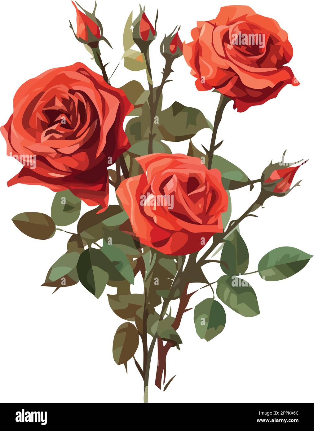 bouquet illustration of roses Stock Vector Image & Art - Alamy