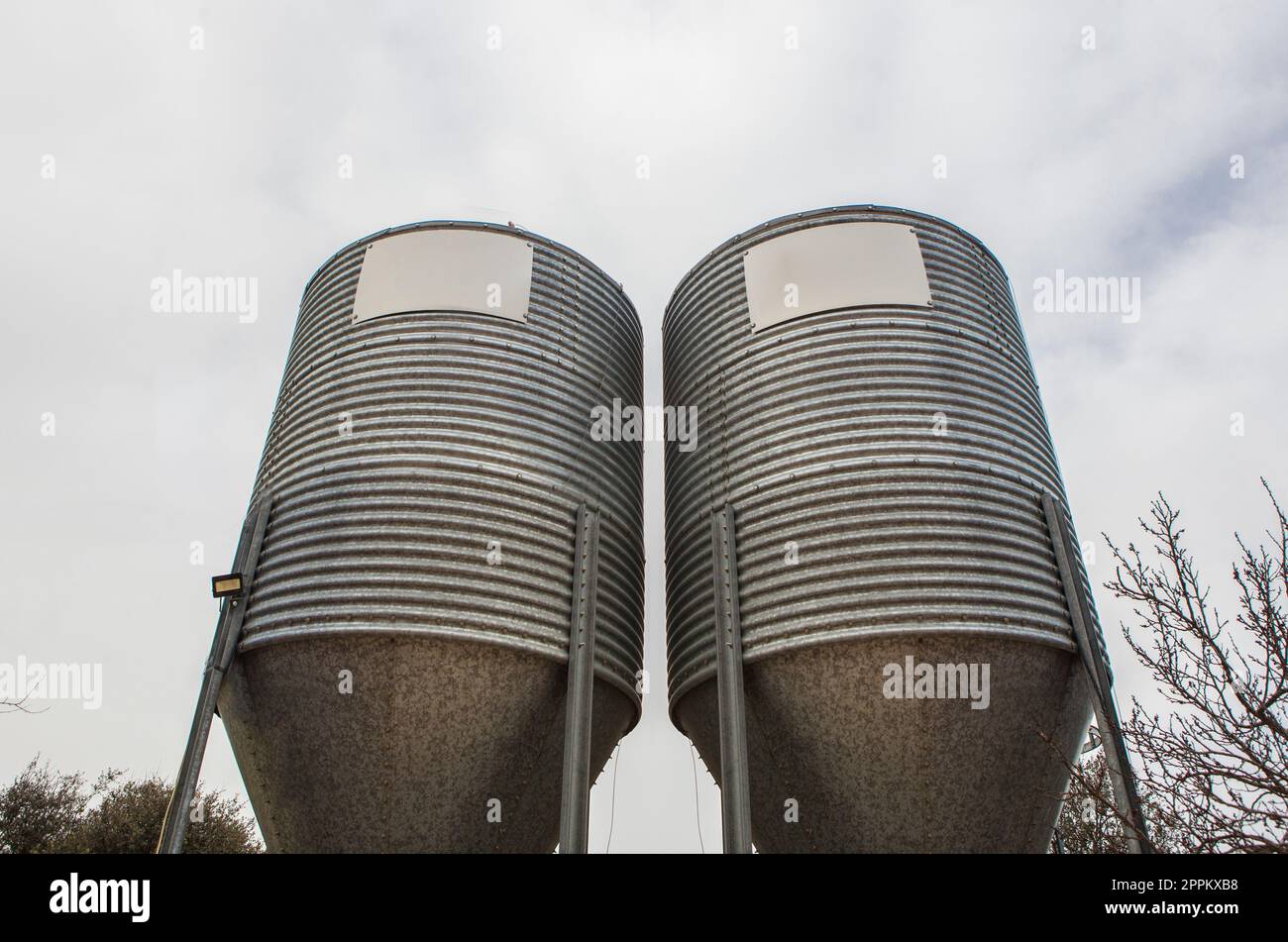 Animal feed silos. Zinccoated storage for animal husbandry Stock Photo Alamy