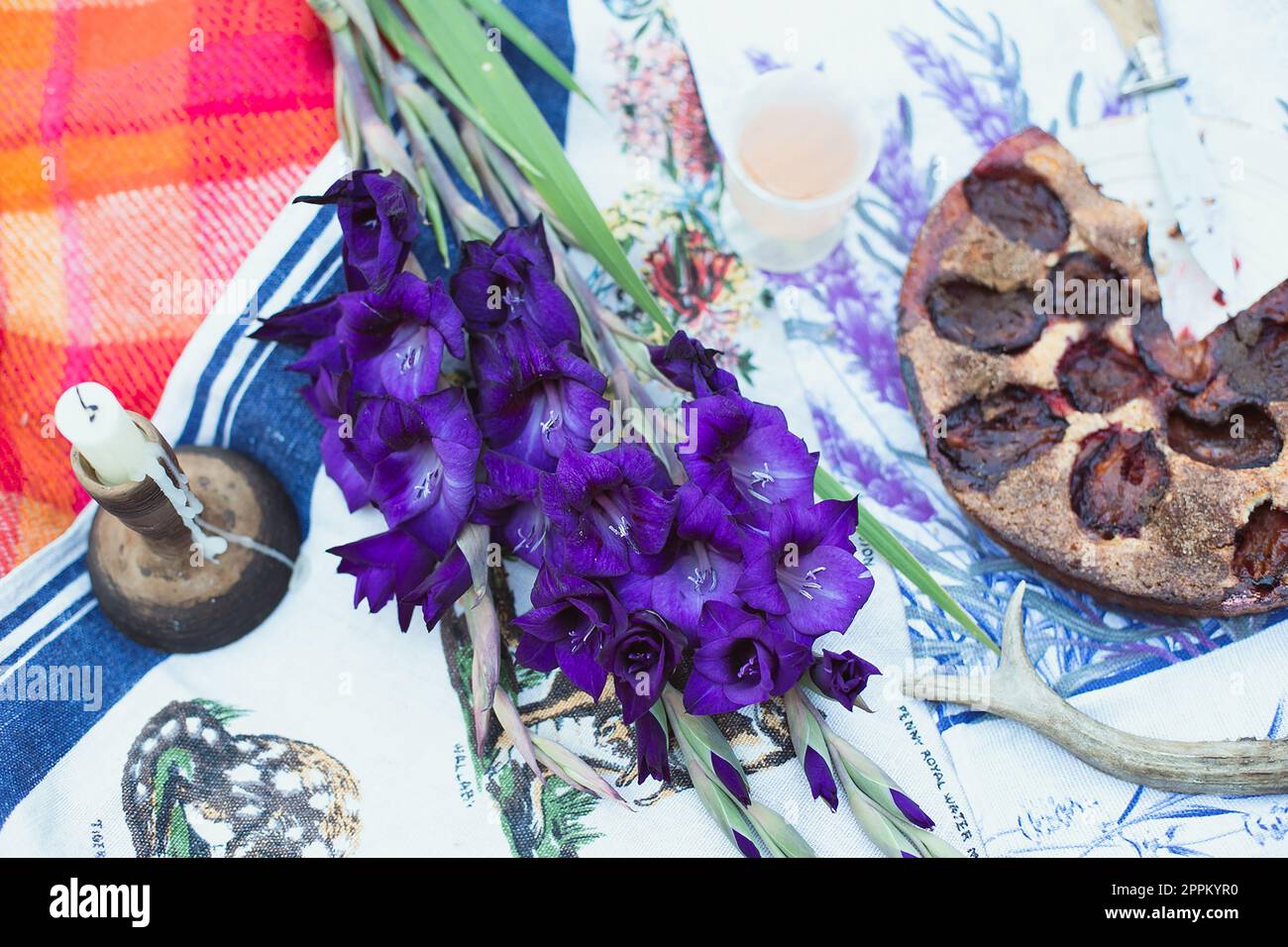 Close up picnic arrangement with witchy vibes concept photo Stock Photo