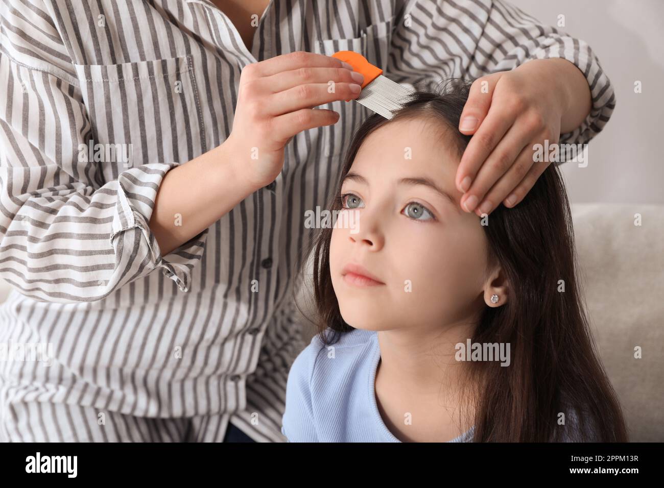 Mother using nit comb on her daughter's hair indoors. Anti lice