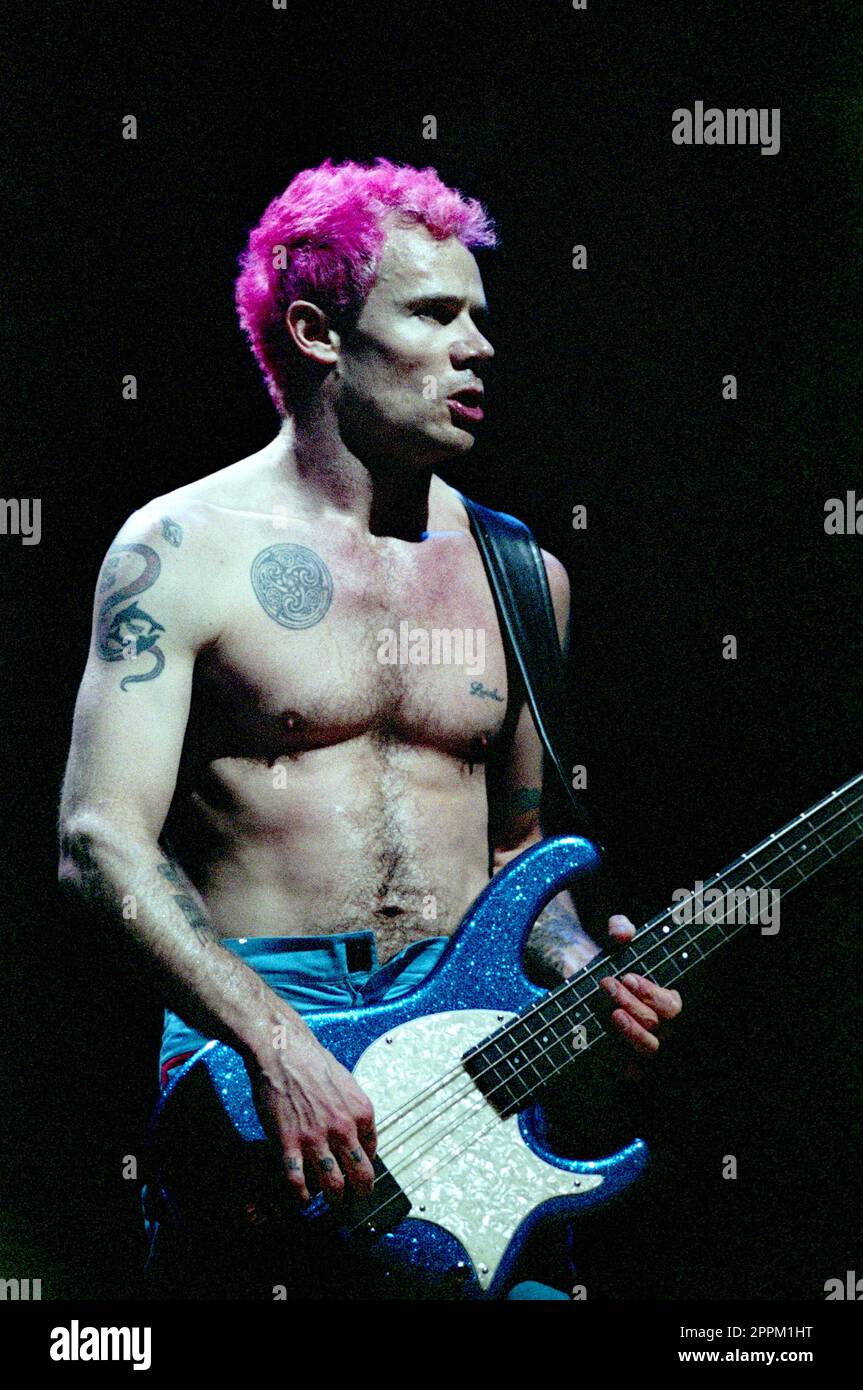 Milan Italy 1999-11-14: The Red Hot Chili Peppers band at the Forum Assago  , the bassist Flea during the show Stock Photo