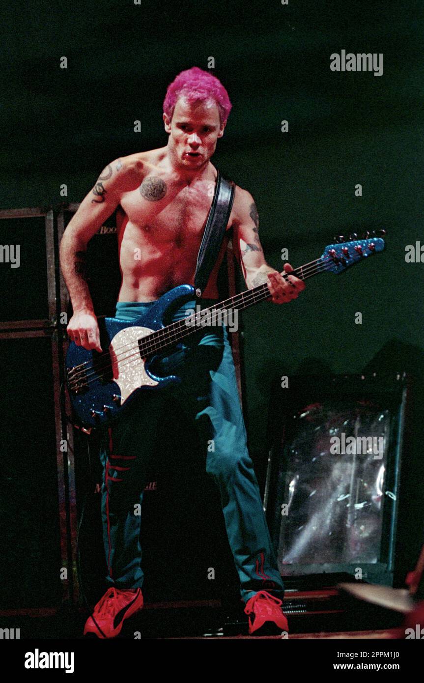 Milan Italy 1999-11-14: The Red Hot Chili Peppers band at the Forum Assago  , the bassist Flea during the show Stock Photo