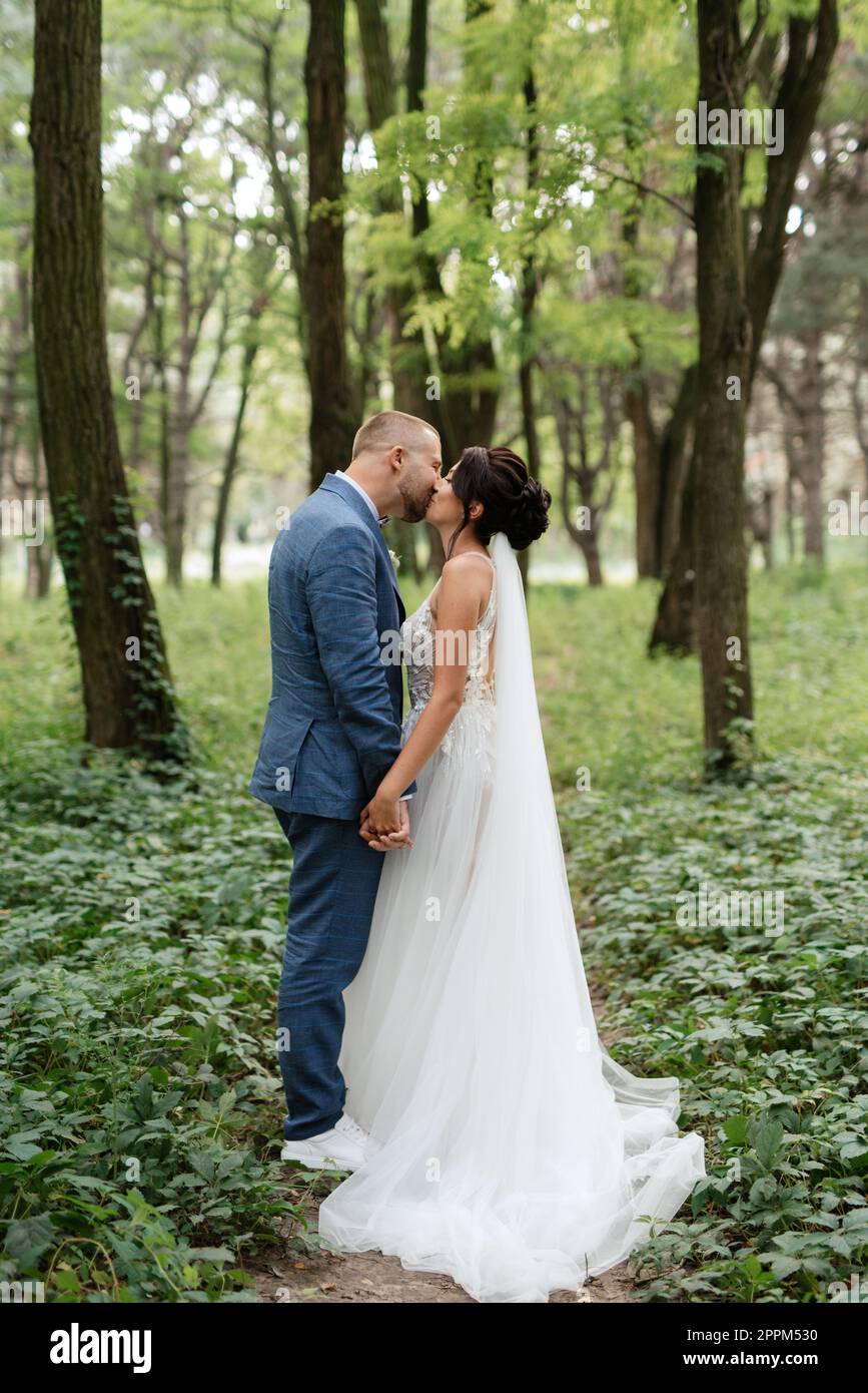 wedding walk of the bride and groom in the deciduous forest in summer ...