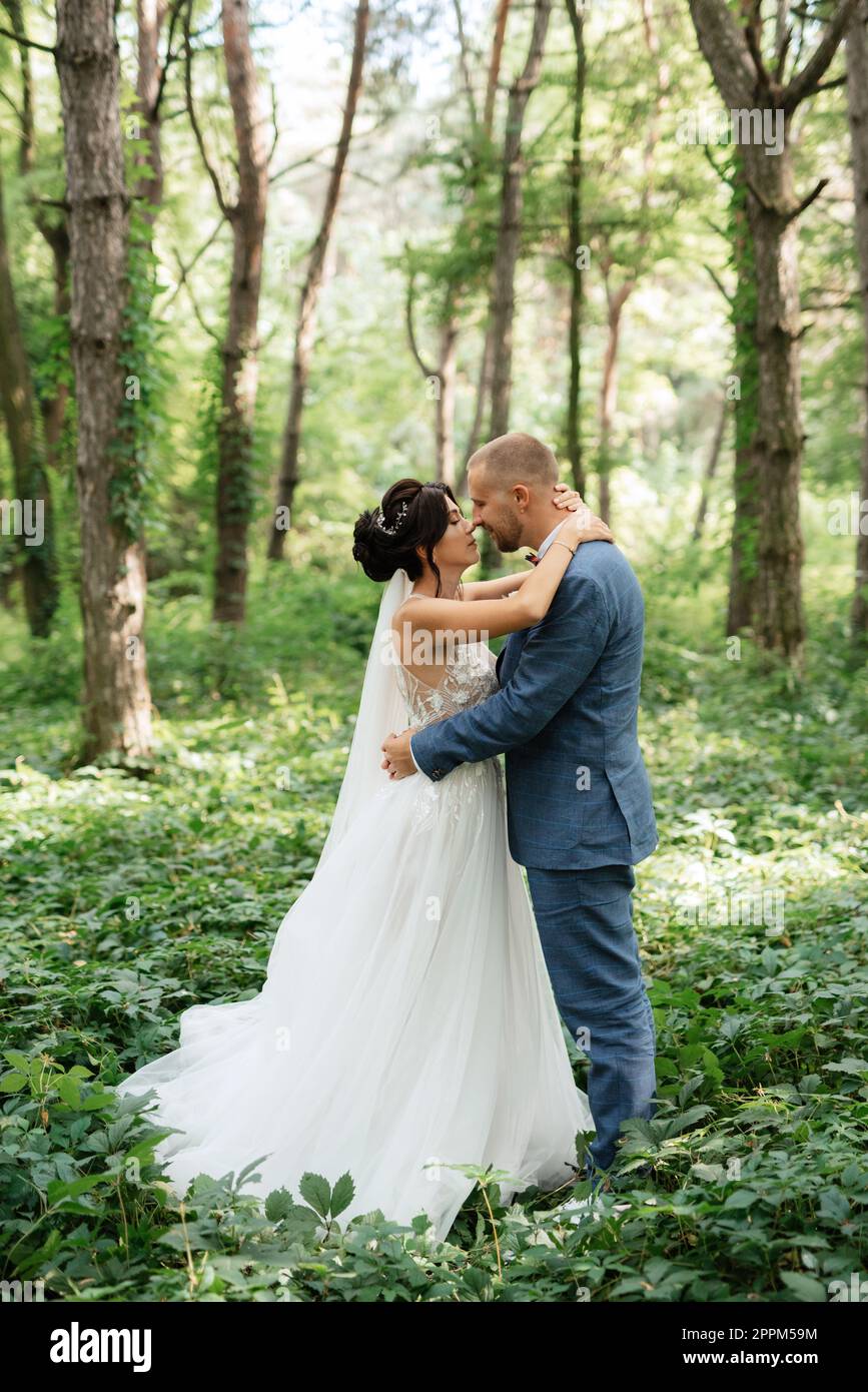wedding walk of the bride and groom in the deciduous forest in summer ...