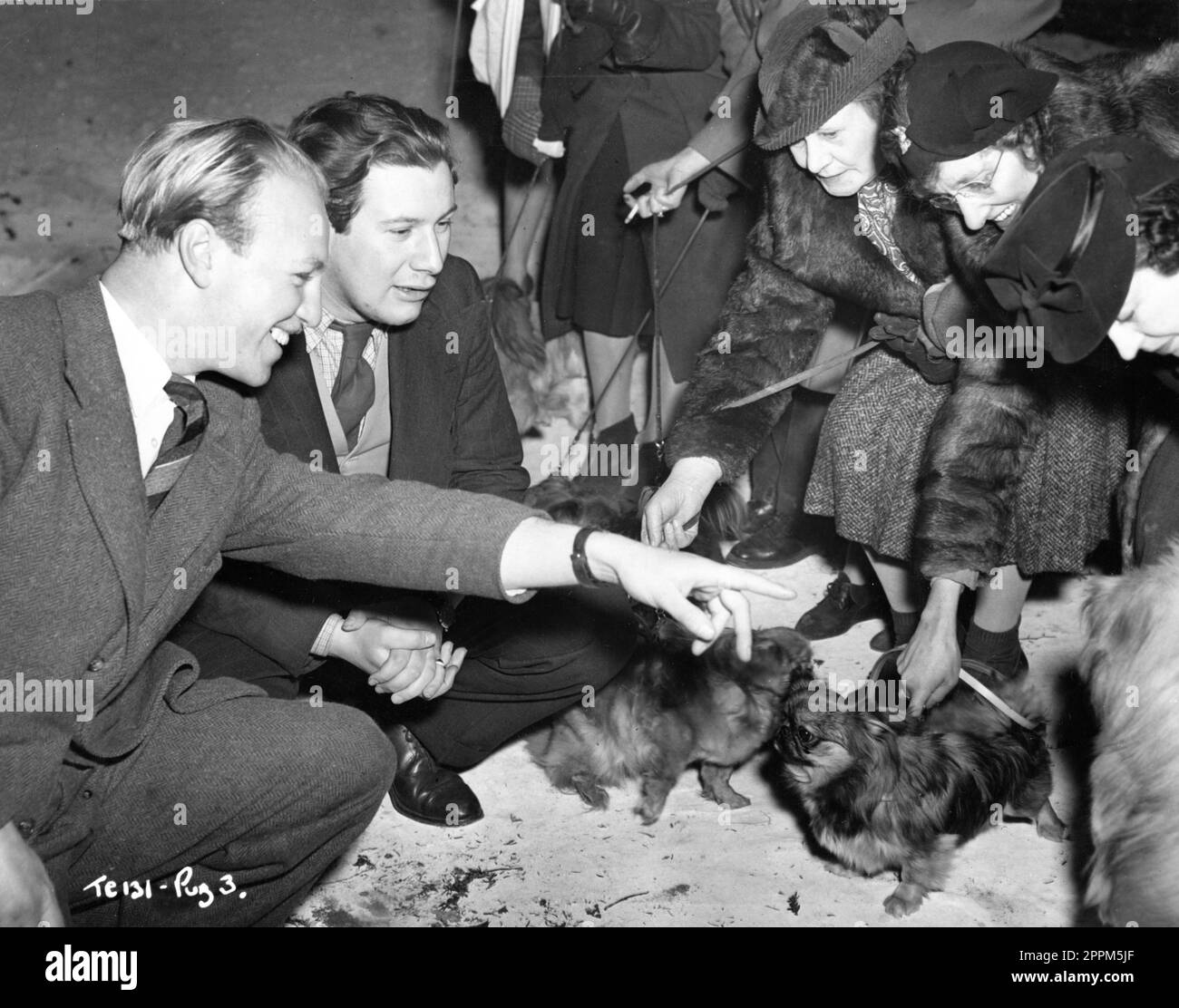 Co-Producer GEORGE BROWN and Producer / Director PETER USTINOV on set candid selecting a Pekingese Dog for an important role in their film VICE VERSA 1948 director / screenplay PETER USTINOV novel F. Anstey George H. Brown Productions for Two Cities Films / General Film Distributors (GFD) Stock Photo