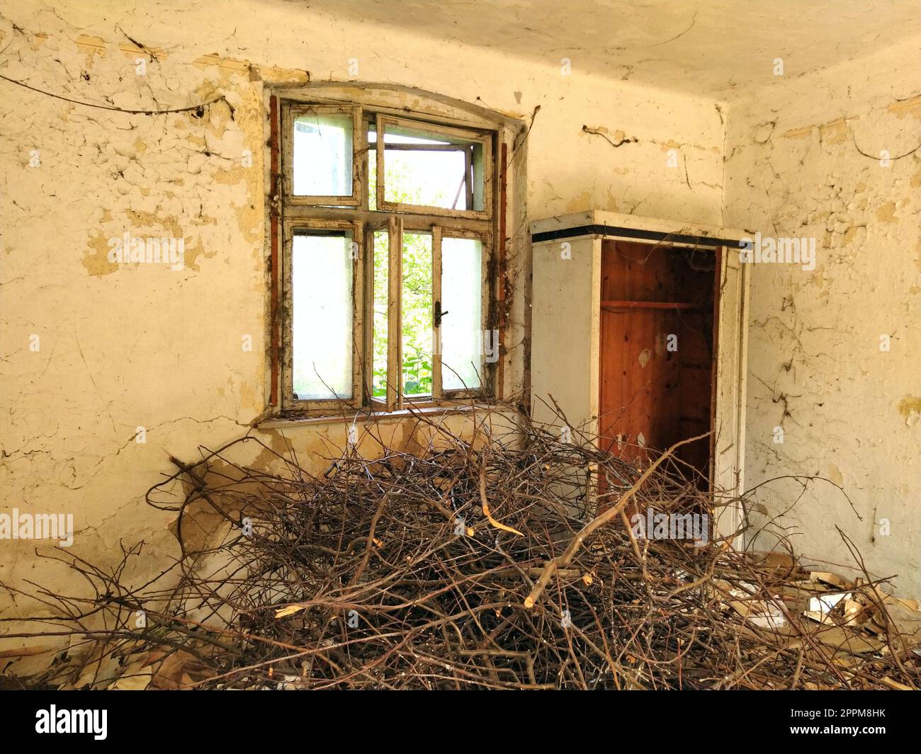 The interior of an abandoned old rural house with light cracked walls, an old beautiful window with broken glass and a floor covered with dirt, branches and brushwood. Stock Photo
