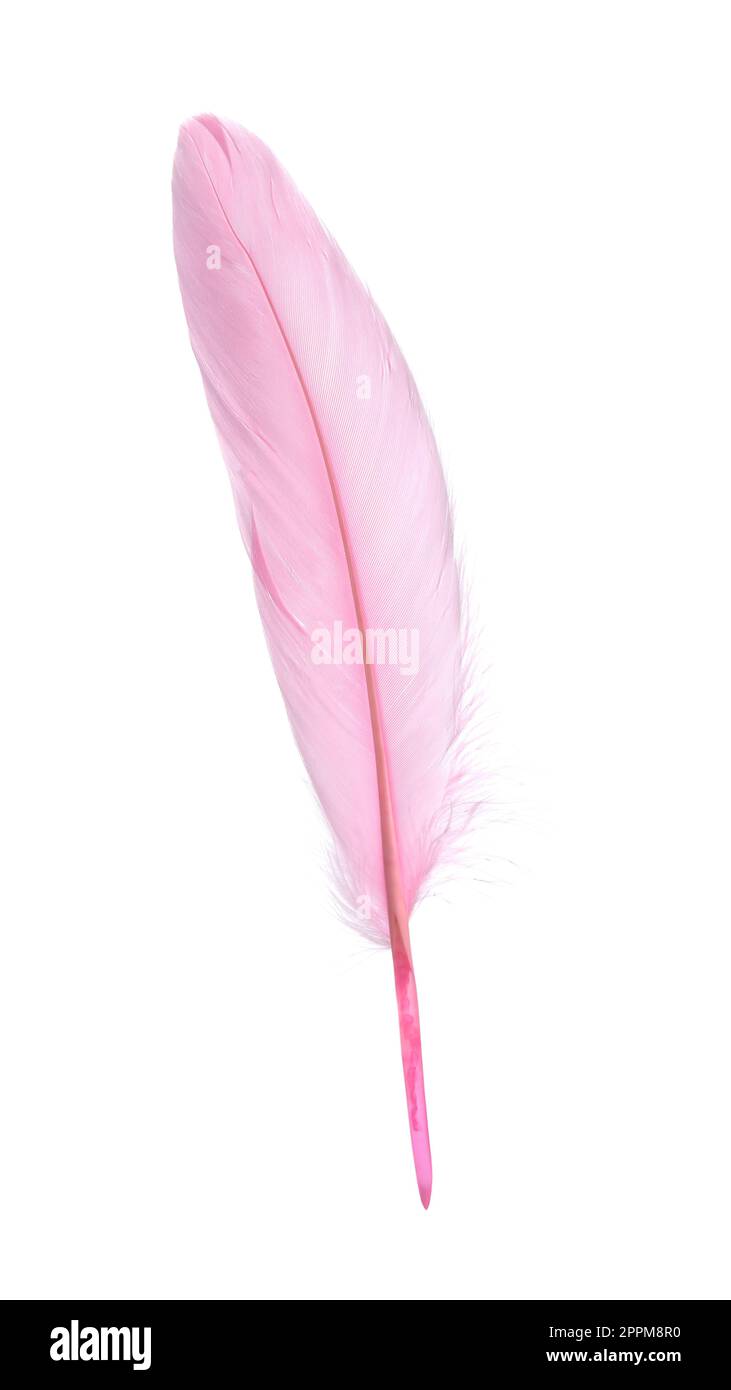 Fluffy beautiful pink feather isolated on white Stock Photo Alamy