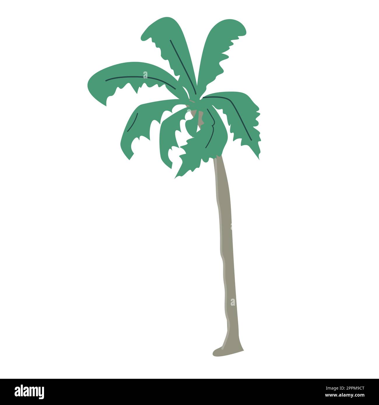 Colorful tropical palm tree on white background stock vector image