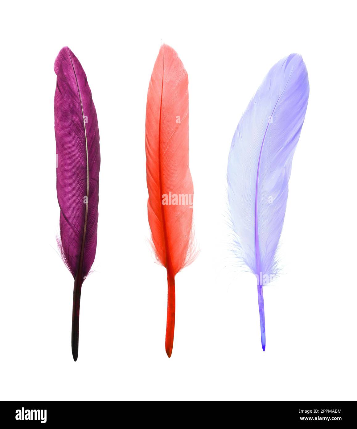 Set with different beautiful color feathers on white background Stock ...