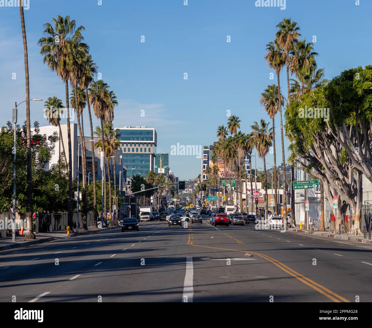 Los angeles sunset boulevard palm trees hi-res stock photography and ...