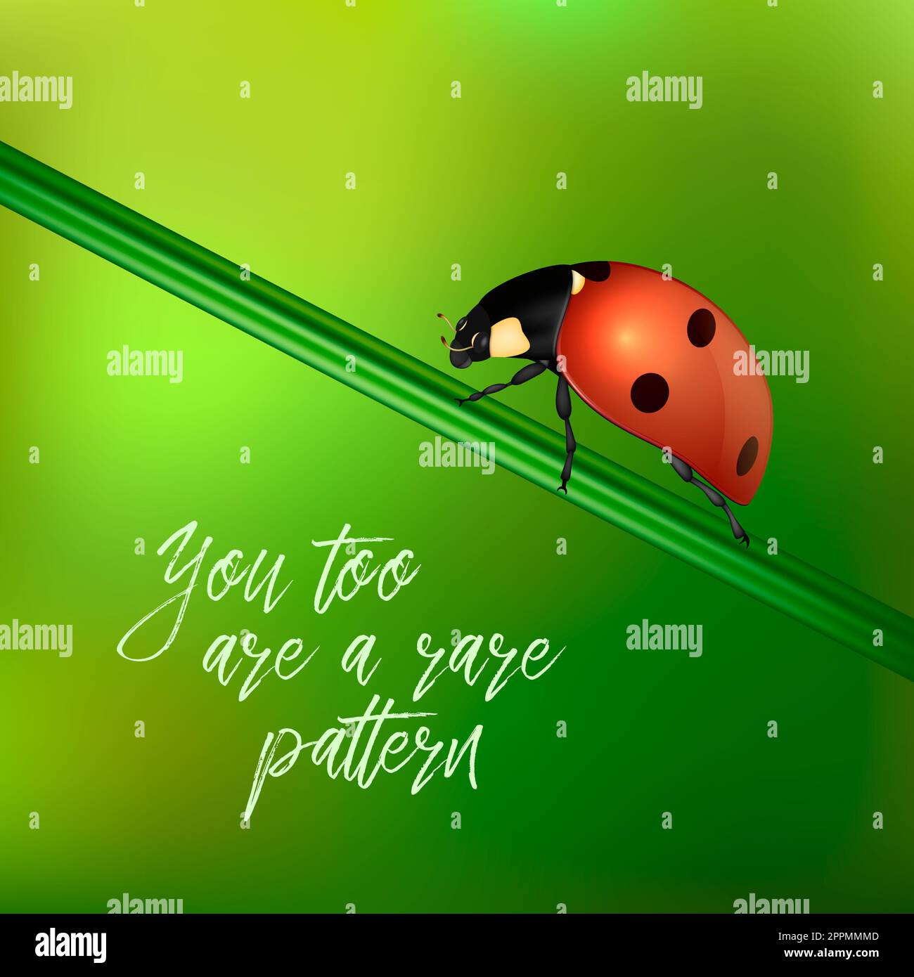 Yoy too are a rare pattern - vector background with quote and realistic ladybug insect on a blurred green. EPS10. Stock Photo