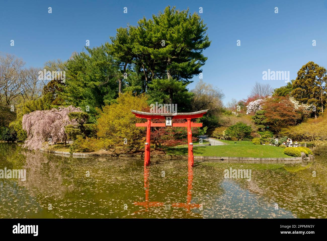 Japanese Hill-and-Pond Garden, Brooklyn Botanical Gardens, Brooklyn, New York, USA Stock Photo