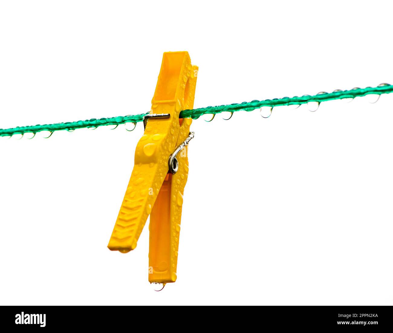 Wet yellow clothespin on a green washing line full of rain drops Stock Photo